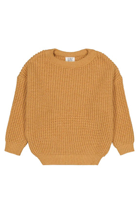 Pull Boby moutarde - homme
